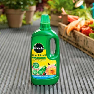Miracle-Gro Pour & Feed Ready To Use Plant Food 1L 4 Miracle-Gro Pour & Feed Ready To Use Plant Food 1L - Image 2