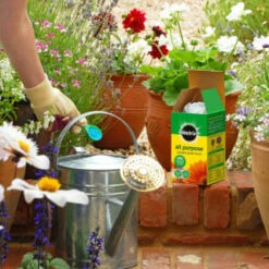 Miracle-Gro All Purpose Plant Food 1kg -Garden Furniture Sales 175130 miracle gro all purpose plant food 1kg 2