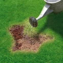 Miracle-Gro Patch Magic Grass Seed, Feed & Coir 1.1kg -Garden Furniture Sales 245940 miracle gro patch magic grass seed feed and coir 3