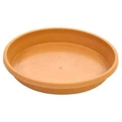 B&M Ascot Saucer Terra - Large