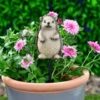 B&M Carved Wood Effect Garden Plant Pot Stick - Hedgehog