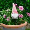 B&M Garden Gonk Plant Pot Stick - Pink 2 B&M Garden Gonk Plant Pot Stick - Pink -Garden Furniture Sales 379522 garden gonk pot sticks pink
