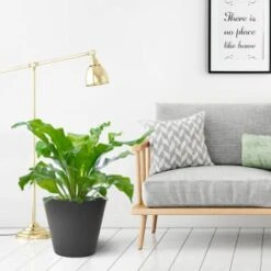 B&M Octavia Planter 38cm - Pewter -Garden Furniture Sales 383772 octavia planter slate pewter 38cm 1