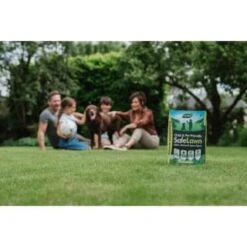 B&M Westland Safe Lawn Spreader Box 80m2 -Garden Furniture Sales 384000 safe lawn spreader box 80m 4