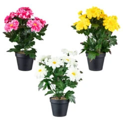 B&M Zinnia Plant Pot - Yellow -Garden Furniture Sales 392826 zinnia in pot group
