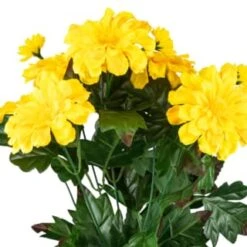 B&M Zinnia Plant Pot - Yellow -Garden Furniture Sales 392826 zinnia in pot yellow 2