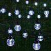 Eveready Mains Powered LED Festoon Bulb String Lights 100pk - Cool White -Garden Furniture Sales 392911 eveready 100 mains operated festoon bulb string lights 3