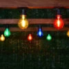Eveready Mains Powered LED Bulb String Lights 20pk - Multicolour -Garden Furniture Sales 392913 eveready 20 mains operated multi colour bulb string lights 2
