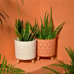 B&M Planter On Tripod Stand - Cream -Garden Furniture Sales 393647 superbloom planter on tripod stand terracotta1