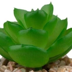 B&M Assorted Small Concrete Succulents -Garden Furniture Sales 394713 small concrete succulent 6